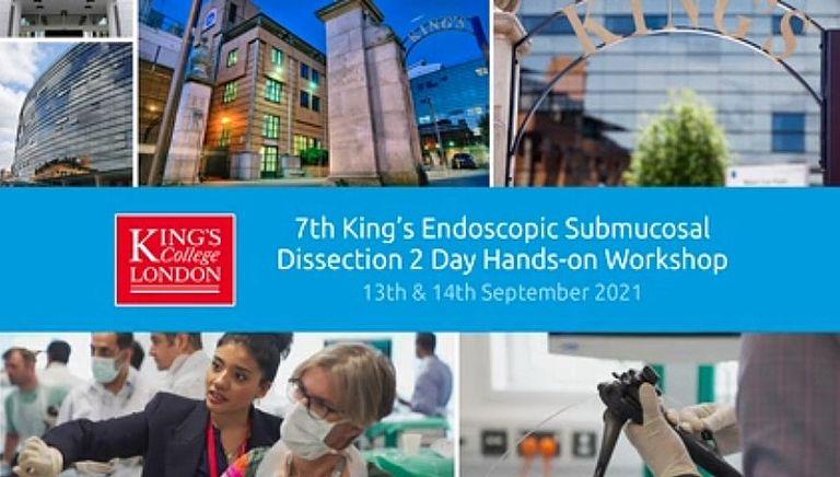 Csm Endoscopic Submucosal Dissection 2 Day Hands On Workshop D58c25b2f2
