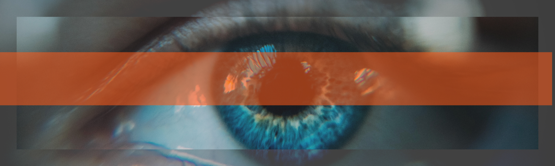 Addvision Is Bringing Greater Vision To Sweden