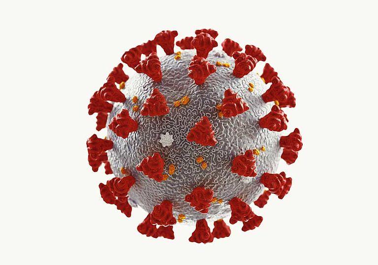 Csm Adobestock 328545705 8E80b7e5b6